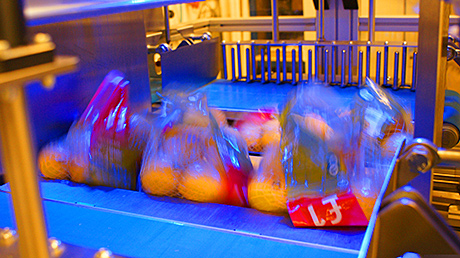 fruit packaging fruit packaging