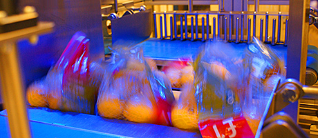 Orange crush on the rocks? fruit packaging