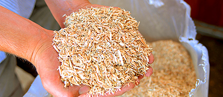 Eco Sustainable Solutions