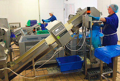 Processing fresh veg for the retail and catering sectors demands the highest level of hygiene and safety. 