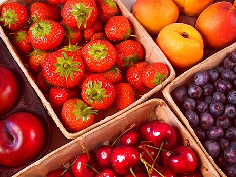 Compostable coup for Glasgow firm The trays can be used to store fruit, veg and fungi.