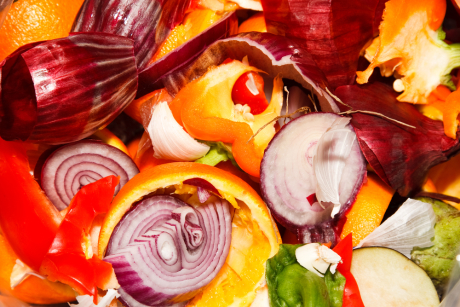 Mechline launching new food waste programme at Waste-Works