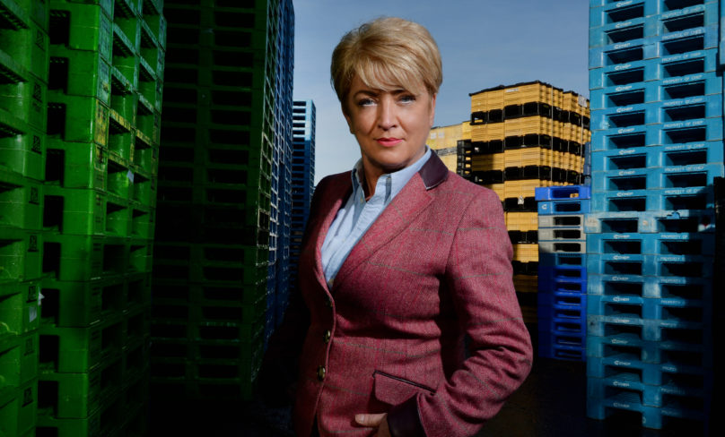 PSE launches northern venture