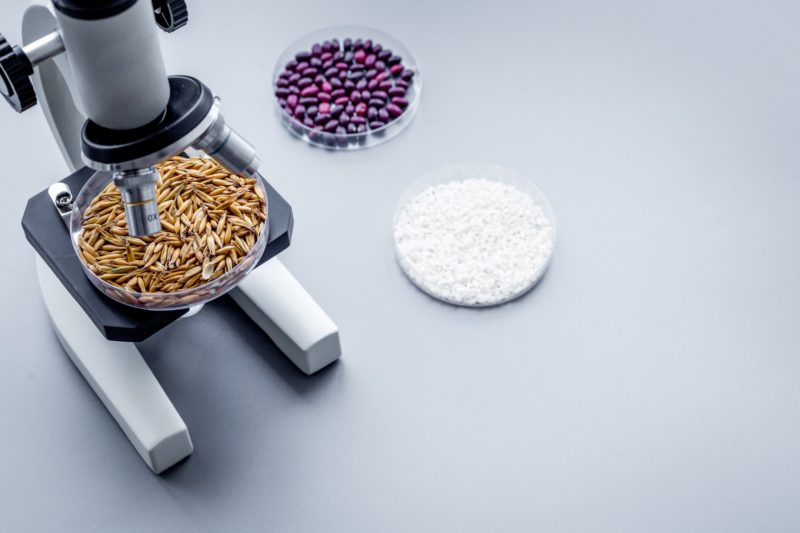 Smurfit Kappa unveils “sustainable” primary food packaging solution