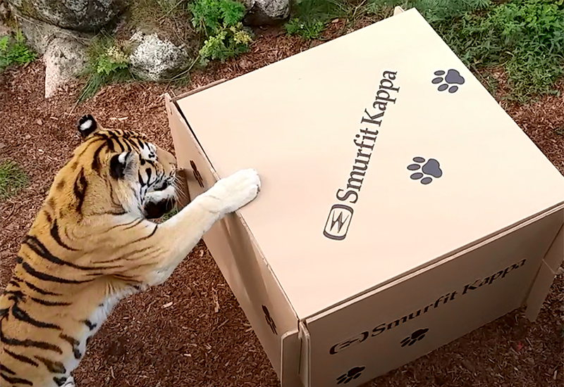 Packaging giant creates toys for big cats