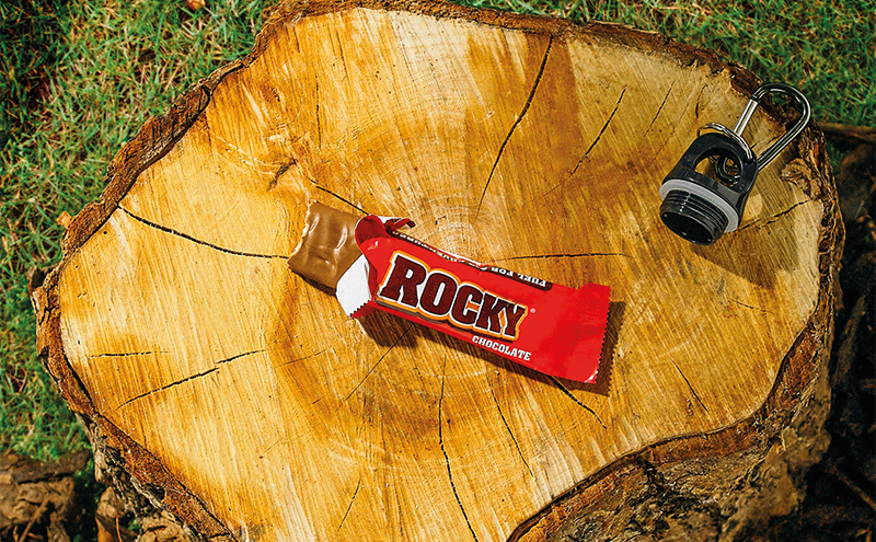 Eagle soars to the rescue for biscuit brand