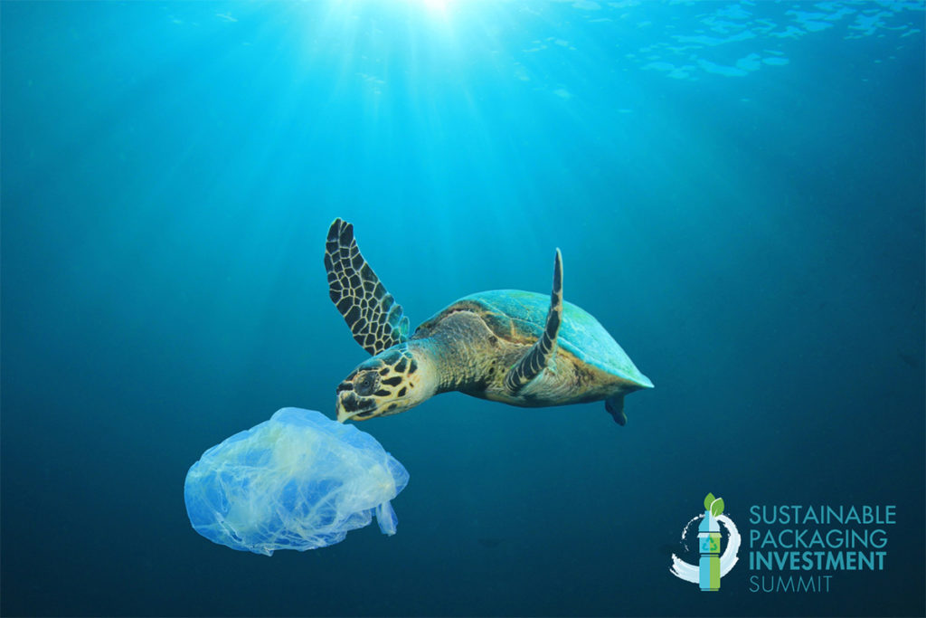Investing in a sustainable future turtle near piece of plastic