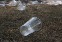 Green groups call on Scottish Parliament for ‘radical’ single-use plastic changes beverage-cups