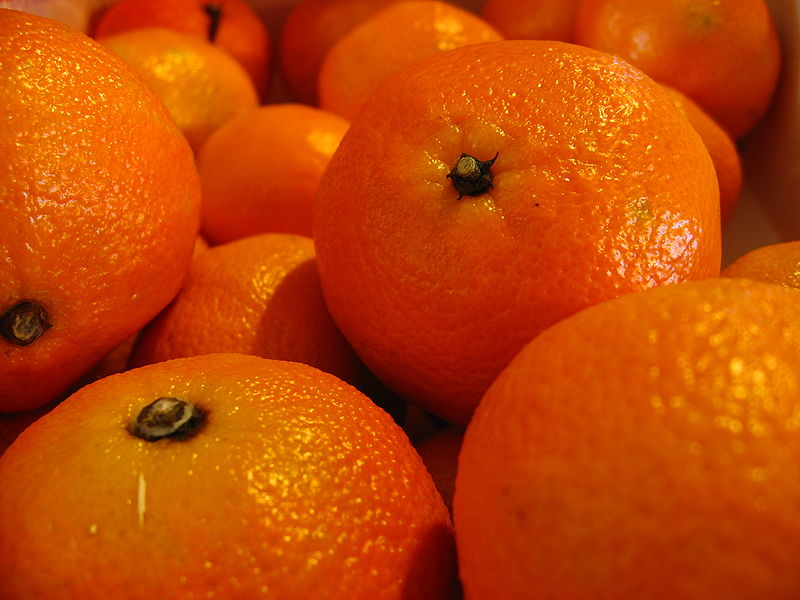 closeup of oranges