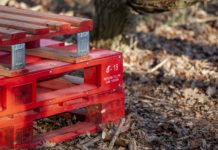 pallet on woodland
