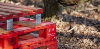 pallet on woodland
