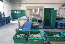 Robotic cell helps production to sprout