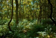 Colpac reinforces sustainable commitment by signing up to Call to Action