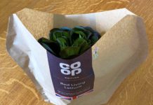 Sustainably packaged ‘living lettuce’ launched in Co-op stores