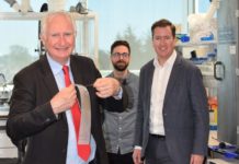 MP hails plastic alternative inspired by spider silk