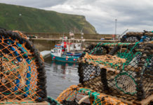 UK fishing industry to trial biodegradable packaging