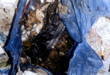 Firm fined following ‘most serious’ breach of waste shipment regulations