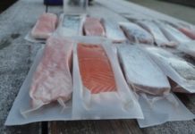 Skye salmon farmer links with Invergordon firm to launch eco-friendly packs