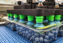 Brillopak to debut high-speed tray and punnet packer solution