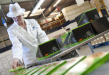 Company reveals delight at unannounced audit result