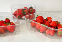 ‘Easier to recycle’ fruit punnets hit UK market