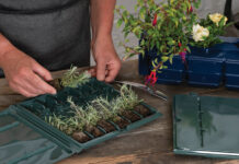 Thermoformed pack specialist urges horticultural sector to prepare for growing season