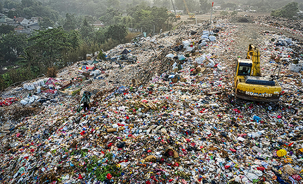 Plasteax imagery
