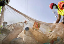 New report urges industry to prepare for plastic legislation ‘or face financial loss’ Image credit: Xavier Messina
