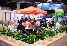 CCL stand at Multimodal