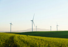 Packaging industry urged to start preparing now to meet the demands of 2050 Wind turbines