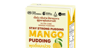Carton packaging for fruit pudding