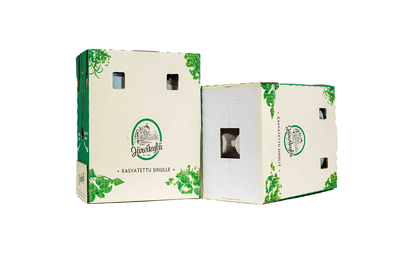 Fibre-based packaging