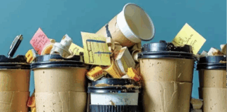 Food waste