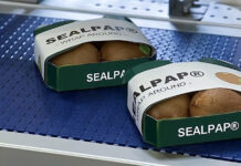Paper-based packaging