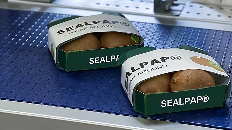 Paper-based packaging