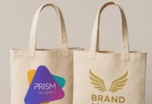 Prism eLogistics and Brand Angels team up to offer integrated solution Prism and Brand Angels partnership