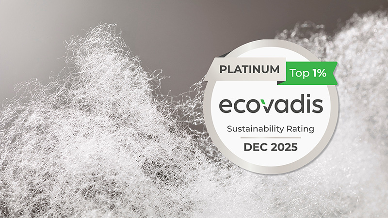 EcoVadis logo on fibre image
