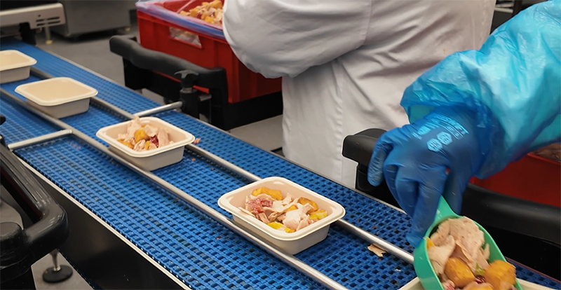 School meals trays