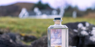 Glass gin bottle