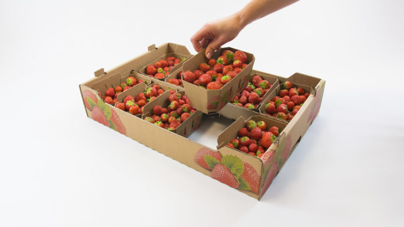 Sustainable fruit packaging helps drive sales boom