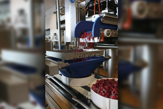 fruit sliding down blue plastic