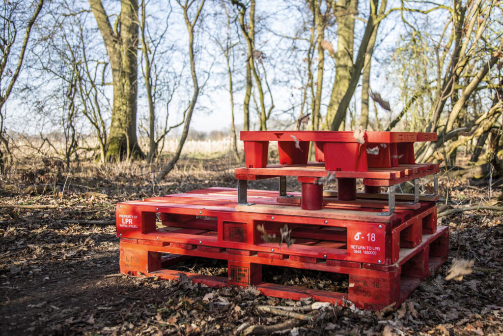 pallets in wood
