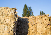 Paper packaging specialist recognised for sustainability achievements