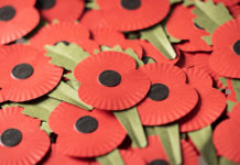 Specialist papermaker helps create plastic-free poppy