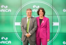 Susana Alejandro to become chairman of Saica Group