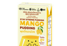 Carton packaging for fruit pudding