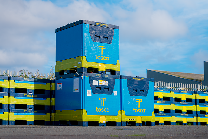 Blue Tosca pallets