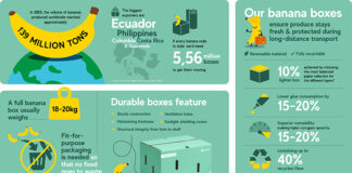 Graphic outlining banana box innovation