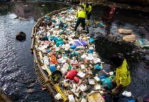 Environmental charity bowled over by label manufacturer’s cricket initiative Plastic waste in the ocean